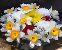 真言宗 善通寺派 薬王寺の庭園