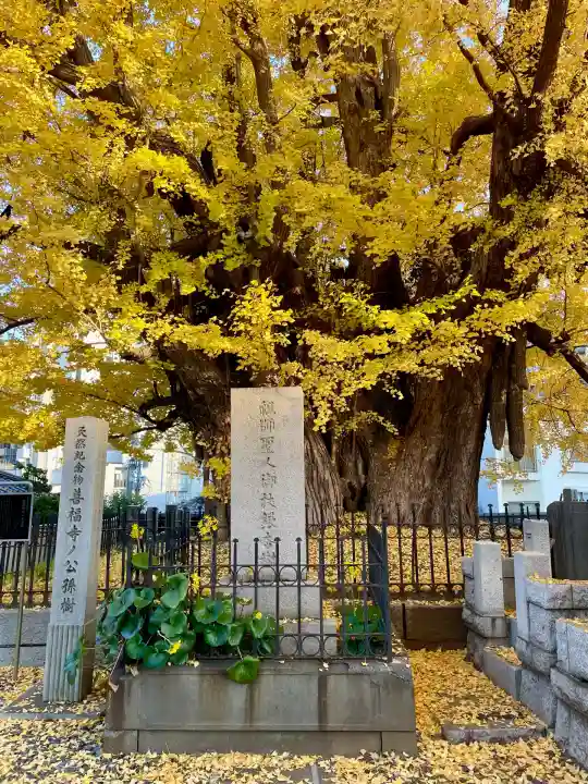 善福寺(東京都)