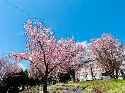 北見神社の{uncategorized: "未分類", other: "その他", undefined: "問題あり", building: "その他建物", grave: "お墓", sacred_gate: "鳥居", guardian: "狛犬", statue: "像", buddha: "仏像", history: "歴史", nature: "自然", garden: "庭園", animal: "動物", pagoda: "塔", temizu: "手水舎", mountain_gate: "山門・神門", sanctuary: "本殿・本堂", subordinate: "末社・摂社", art: "芸術", scenery: "景色", jizo: "地蔵", ema: "絵馬", goshuin: "御朱印", omikuji: "おみくじ", items: "授与品その他", amulet: "お守り", goshuincho: "御朱印帳", eats: "食事", festival: "お祭り", votive_dance: "神楽", shichigosan: "七五三参", wedding: "結婚式", experience: "体験その他", initially: "初詣", around: "周辺", anti_infection: "感染症対策"}