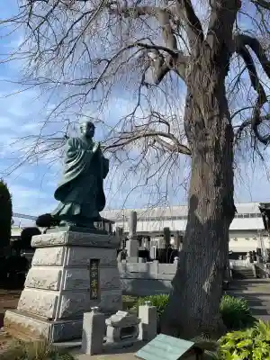 伝法寺(千葉県)