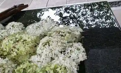 熊野神社の手水舎