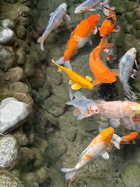 秩父神社(埼玉県)
