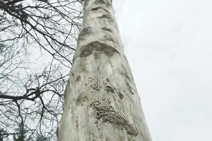 諏訪大社上社前宮の自然