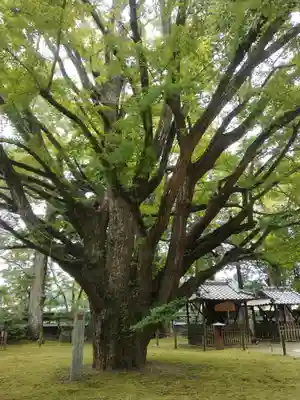 西念寺(茨城県)