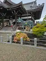 橘寺(奈良県)