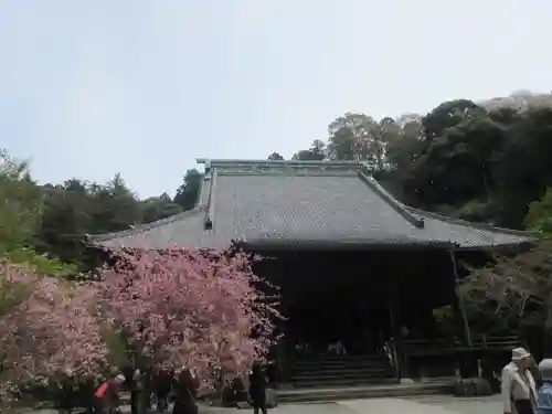 妙本寺の本殿・本堂