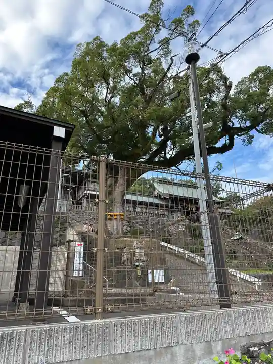 鎮西大社諏訪神社(長崎県)