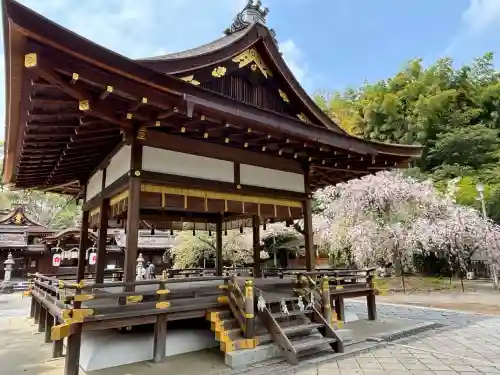平野神社(京都府)