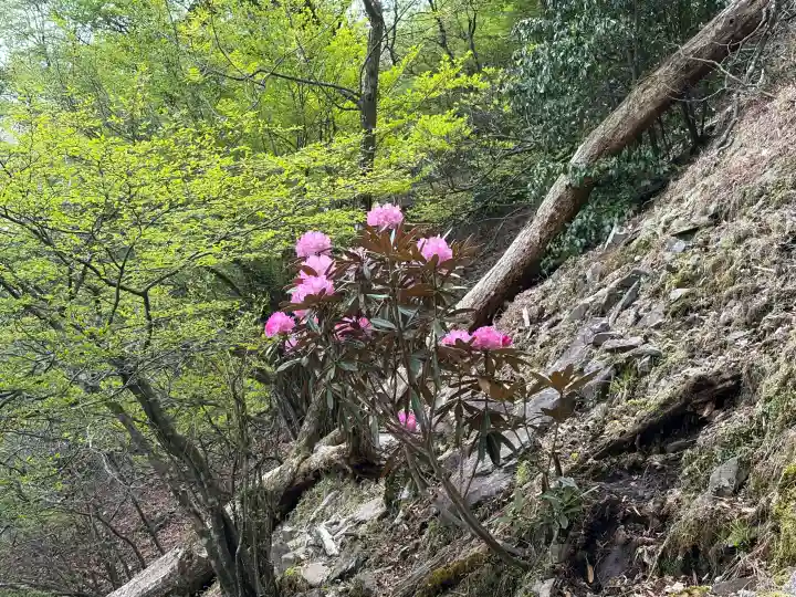 英彦山神宮の{uncategorized: "未分類", other: "その他", undefined: "問題あり", building: "その他建物", grave: "お墓", sacred_gate: "鳥居", guardian: "狛犬", statue: "像", buddha: "仏像", history: "歴史", nature: "自然", garden: "庭園", animal: "動物", pagoda: "塔", temizu: "手水舎", mountain_gate: "山門・神門", sanctuary: "本殿・本堂", subordinate: "末社・摂社", art: "芸術", scenery: "景色", jizo: "地蔵", ema: "絵馬", goshuin: "御朱印", omikuji: "おみくじ", items: "授与品その他", amulet: "お守り", goshuincho: "御朱印帳", eats: "食事", festival: "お祭り", votive_dance: "神楽", shichigosan: "七五三参", wedding: "結婚式", experience: "体験その他", initially: "初詣", around: "周辺", anti_infection: "感染症対策"}