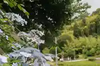 日枝神社の景色