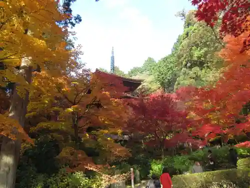 金剛輪寺の庭園