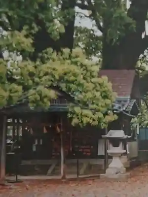 藤白神社の本殿・本堂