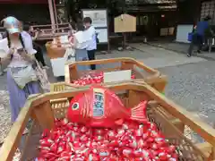 川越氷川神社(埼玉県)