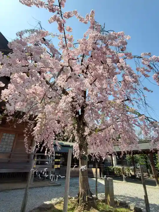 開成山大神宮の自然
