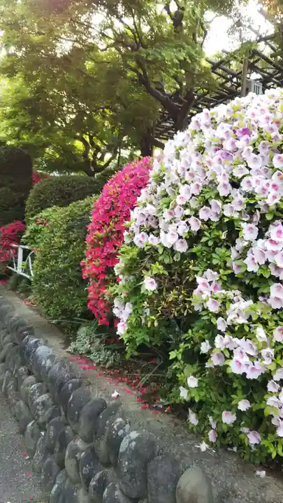観音山慈眼院(高崎観音)の自然