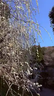 大縣神社の{uncategorized: "未分類", other: "その他", undefined: "問題あり", building: "その他建物", grave: "お墓", sacred_gate: "鳥居", guardian: "狛犬", statue: "像", buddha: "仏像", history: "歴史", nature: "自然", garden: "庭園", animal: "動物", pagoda: "塔", temizu: "手水舎", mountain_gate: "山門・神門", sanctuary: "本殿・本堂", subordinate: "末社・摂社", art: "芸術", scenery: "景色", jizo: "地蔵", ema: "絵馬", goshuin: "御朱印", omikuji: "おみくじ", items: "授与品その他", amulet: "お守り", goshuincho: "御朱印帳", eats: "食事", festival: "お祭り", votive_dance: "神楽", shichigosan: "七五三参", wedding: "結婚式", experience: "体験その他", initially: "初詣", around: "周辺", anti_infection: "感染症対策"}