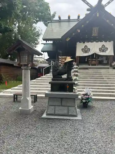 札幌諏訪神社の狛犬