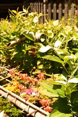 二尊院(京都府)