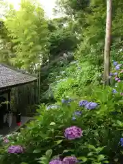 長谷寺(神奈川県)