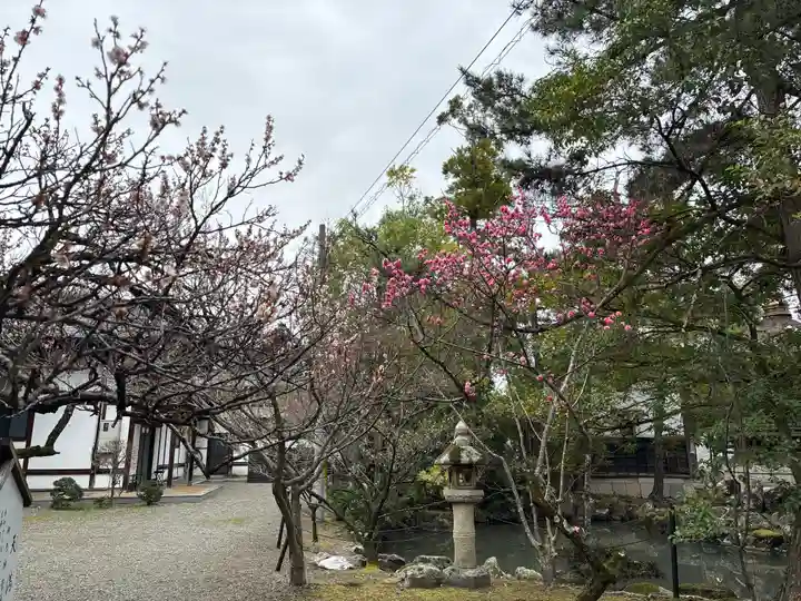 長浜八幡宮の自然