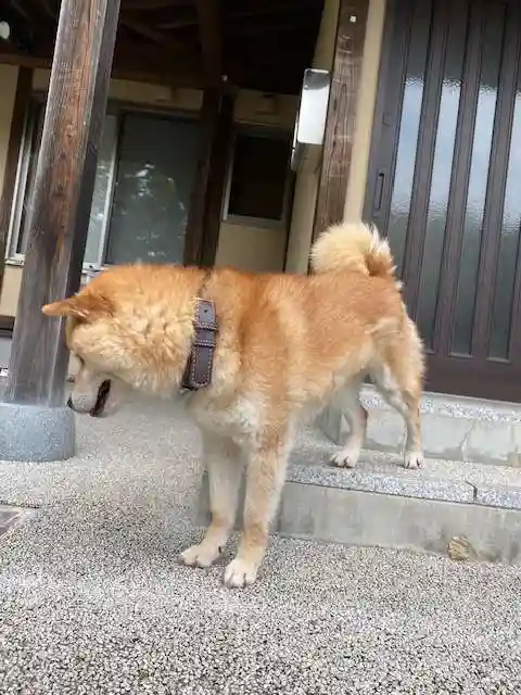 普賢寺(福島県)