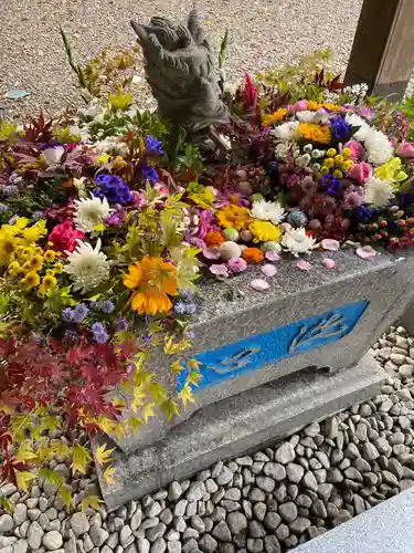 滑川神社 - 仕事と子どもの守り神の手水