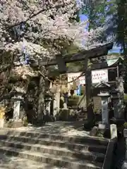 師岡熊野神社の鳥居