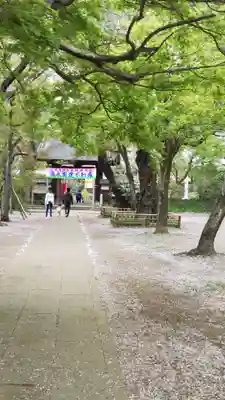 金乘院のその他建物