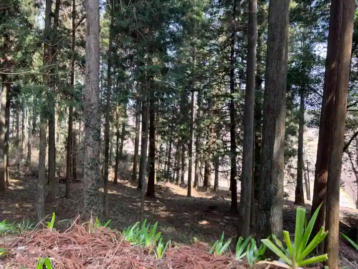 大宮温泉神社(栃木県)
