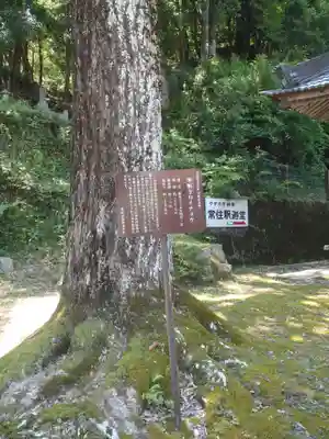 等順寺(愛知県)