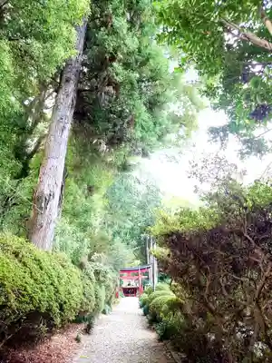 安住神社(栃木県)