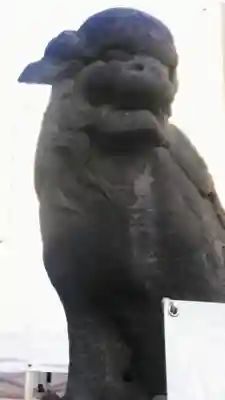 浅草神社の狛犬