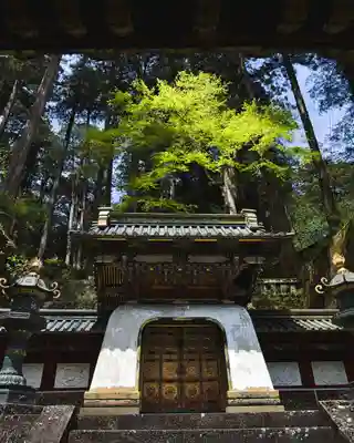 日光山輪王寺 大猷院(栃木県)