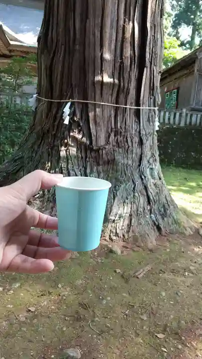 近津神社(茨城県)