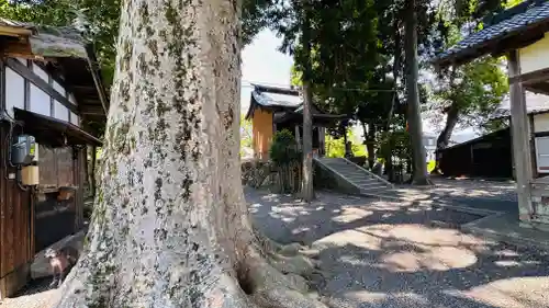 日吉神社(福井県)