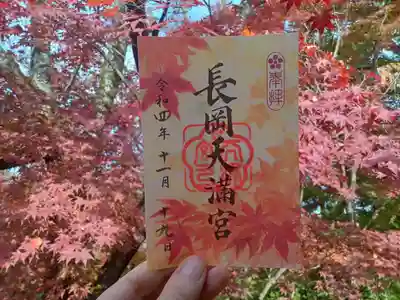 季節限定御朱印です