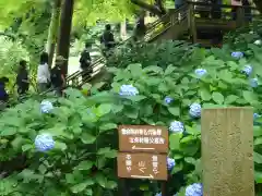 明月院の建物その他