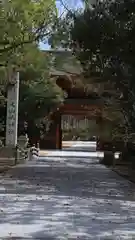 大山祇神社(愛媛県)