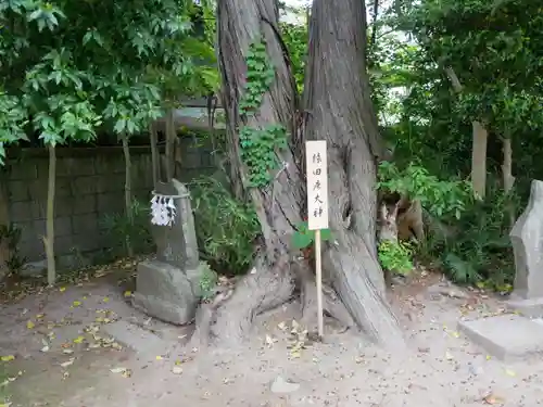 星宮神社(栃木県)