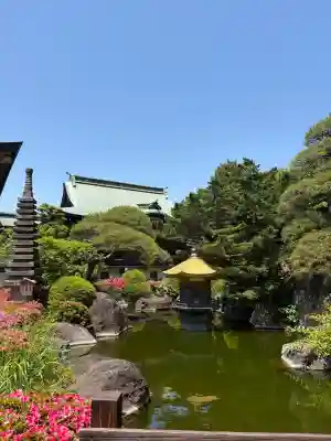 乗蓮寺の{uncategorized: "未分類", other: "その他", undefined: "問題あり", building: "その他建物", grave: "お墓", sacred_gate: "鳥居", guardian: "狛犬", statue: "像", buddha: "仏像", history: "歴史", nature: "自然", garden: "庭園", animal: "動物", pagoda: "塔", temizu: "手水舎", mountain_gate: "山門・神門", sanctuary: "本殿・本堂", subordinate: "末社・摂社", art: "芸術", scenery: "景色", jizo: "地蔵", ema: "絵馬", goshuin: "御朱印", omikuji: "おみくじ", items: "授与品その他", amulet: "お守り", goshuincho: "御朱印帳", eats: "食事", festival: "お祭り", votive_dance: "神楽", shichigosan: "七五三参", wedding: "結婚式", experience: "体験その他", initially: "初詣", around: "周辺", anti_infection: "感染症対策"}