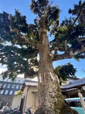 金札宮(京都府)