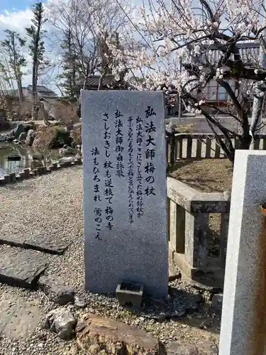 乙津寺　（鏡島弘法）の自然