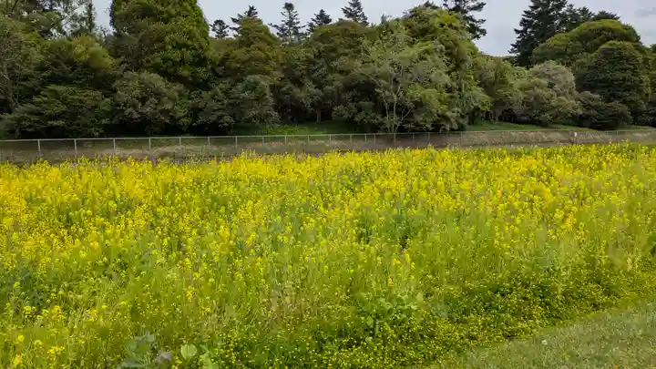 應神天皇惠我藻伏崗陵(誉田御廟山古墳)(大阪府)
