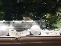 八幡神社(岐阜県)