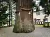 飛驒一宮水無神社(岐阜県)