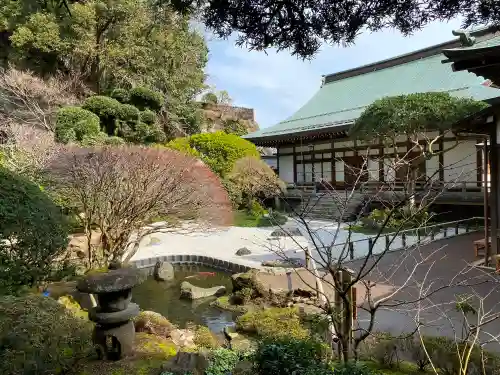 報国寺の庭園