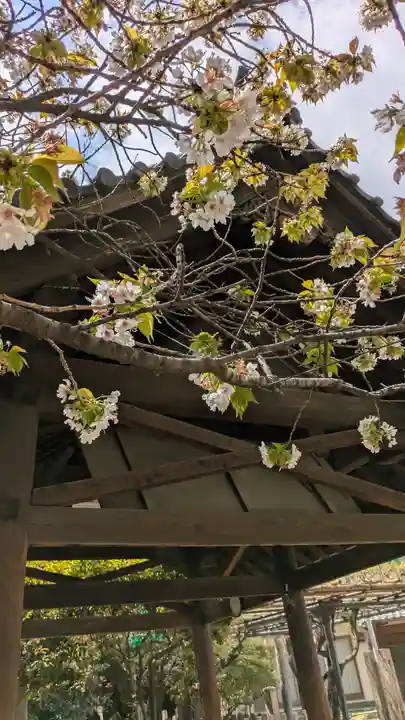 了徳院(大阪府)