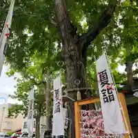 札幌諏訪神社の自然