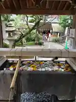 鳩森八幡神社の手水舎