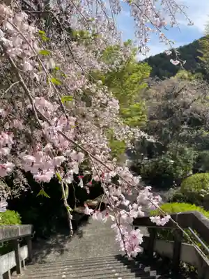 南殿順興寺(京都府)